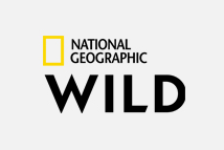 NAT GEO WILD HD